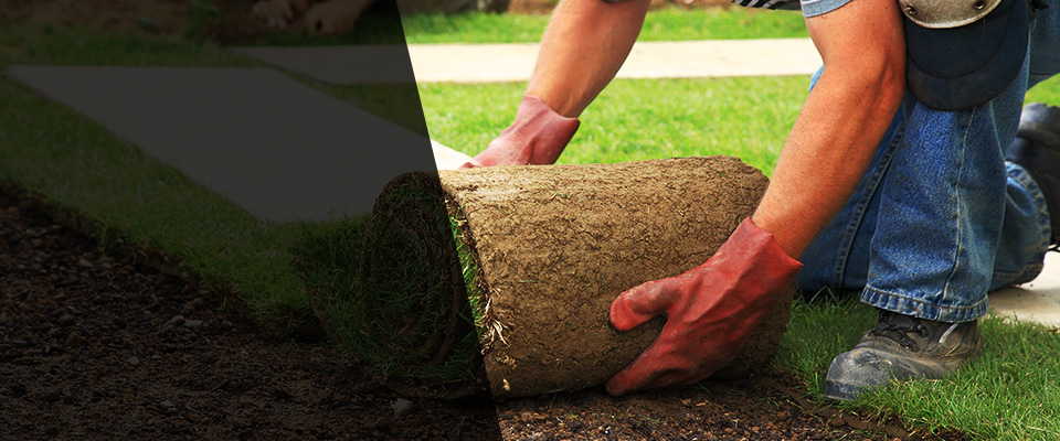 Demopolis Landscapers